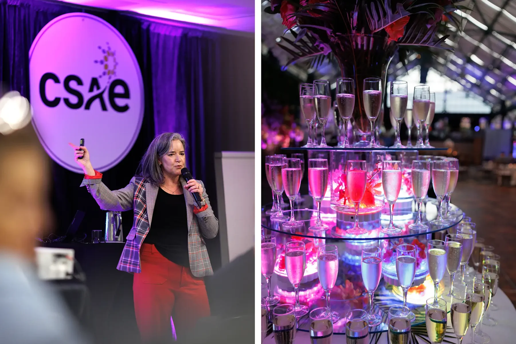 a collage of photos with various activites at the CSAE conference in Victoria